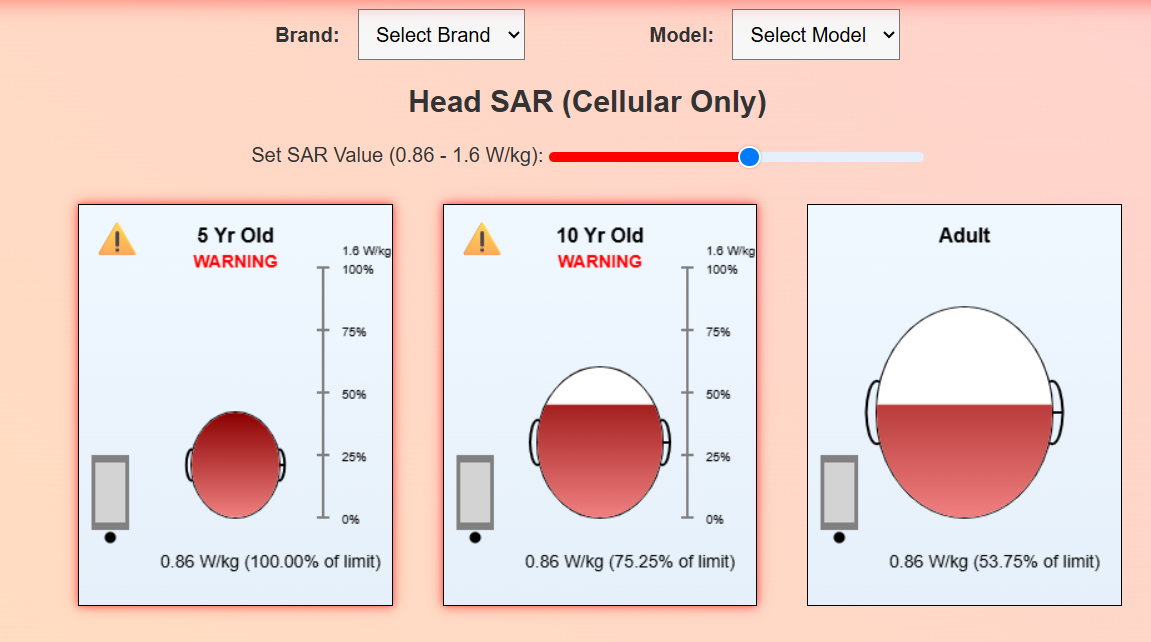 Kids vs. Adults — See How Phone SAR Changes With Age