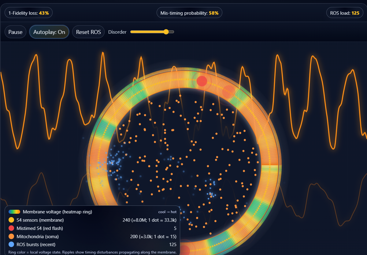 👉Mitochondria + S4 — ROS bursts with mis‑timing