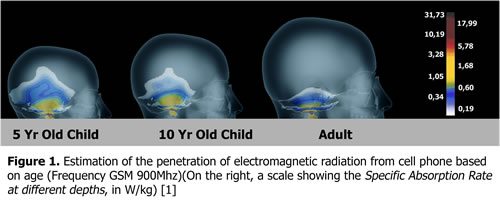radiation_Comparison-kids-absord-more