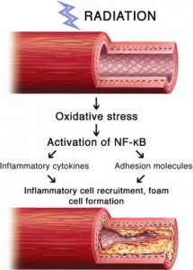 oxidative-stress-from-electromagnetic-waves-kills-Heinrich-Hertz-01-01-1894