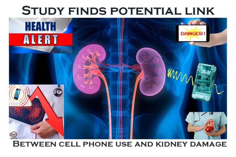 study-finds-potential-link-kidney-damage