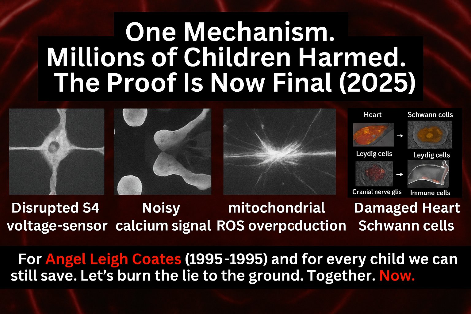 RF SAFE Clean Ether Action Hub — Section 704 repeal and PL 90‑602 violation timers